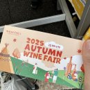 테이스트캠프 | 2025 워커힐 가을 와인페어 후기