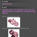 키티홀릭 이미지