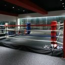 복싱멘토스쿨 이미지