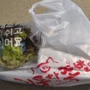 기통찬족발 김해 족발맛집