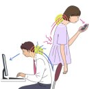 바디모어핏 이미지
