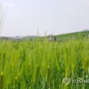 휘성농장 이미지