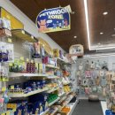 브라이트 독 이미지