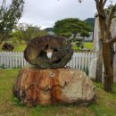 청솔수석박물관 이미지