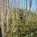 황금능선 이미지