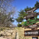 솔마루길 대공원산 이미지