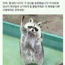 수험생들에게 바치는 글(과 주의할 점) 이미지