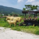 순천꽃마차마을 이미지