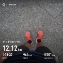 (주) 메스코리아 | 메타스피드 스카이 도쿄 아식스 최상급 카본 러닝화 신모델 구매 러닝 후기 aka. 메스도