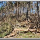 삼봉1리 이미지