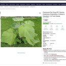 오동나무 발전소 이미지