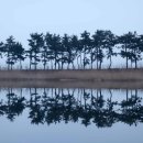 계화진료소 이미지