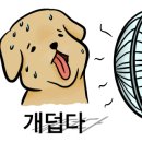 만두네 애견미용실 이미지