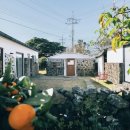 말깡거리 이미지