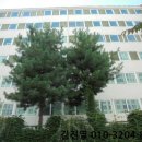 일청로65번길 이미지