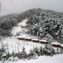 축령산휴림 이미지