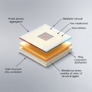 리메인 프로덕션(Remain Production) | 11 Q: What underlying metallurgical parameters allow ultra-thin dies to maintain their structural in