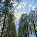 호계로 291번길 이미지