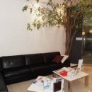 연세.모던피부과의원 이미지