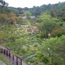 서울양천재향경우산악회 제15차 산행(아차산-용마산,2025.10.03.) 후기 이미지