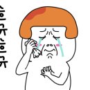 해솔동물병원 이미지