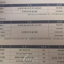 비부스