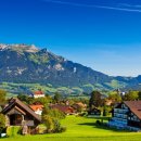 솜마-가 이미지