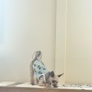 아이멍그라운드 이미지