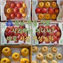 거성목장 이미지