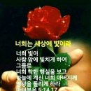 돛골 이미지