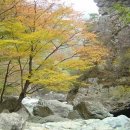 그림앤정원 이미지