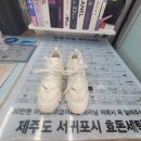 주식회사디올 | 디올 운동화 세탁 얼룩제거 장마철 곰팡이 냄새 복원 가죽 스크레치 염색 관리방법