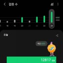 대단한 밀키트 이미지