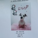 무양반려동물병원 이미지