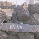 나비민박 | 제주 월정리 해변 예쁜 민박 추천 / 월정리 독채 민박 : 달나비 다락 후기