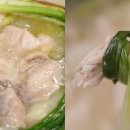 229 - 이정현 ---&#39;닭 한 마리&#39; 이미지