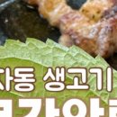 본가로간암퇘지