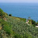 아천 문화관 이미지