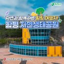 10월28일(화)함평 국향대전/황금박쥐/양서 파충류 자연생태공원 트레킹 안내방 이미지