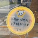 꽃개애견미용 이미지