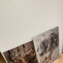 (주)승우 | 천안아산 아기사진 마틴스쇼룸 아산탕정점에서 200일촬영 솔직후기👶🏻 (테디베어컨셉🧸)