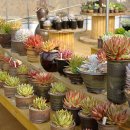 에덴관광농원 이미지