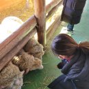 승연목장 이미지