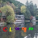 CL여행사