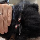 두암한방병원 | 블챌 참여 1주차