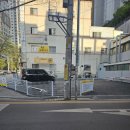대구착한동물병원 | [대구 장기동 동물병원 라파동물병원 후기] 12살 푸들 포뇨의 호르몬질환 진료 후기