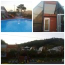 세모난나무2 이미지