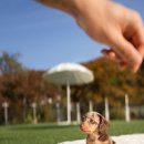 수원-0871 이미지