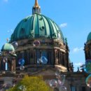 대구데이 페스티벌 이미지