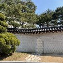 서울 종로)제21대 새 대통령 집무실 관람‘청와대’(관저, 녹지원, 본관, 상춘재, 춘추관)